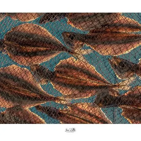 Residencia Maciel Nocleg ze śniadaniem Peniche