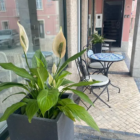Residencia Maciel Panzió Peniche