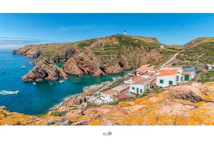 Residencia Maciel פניש